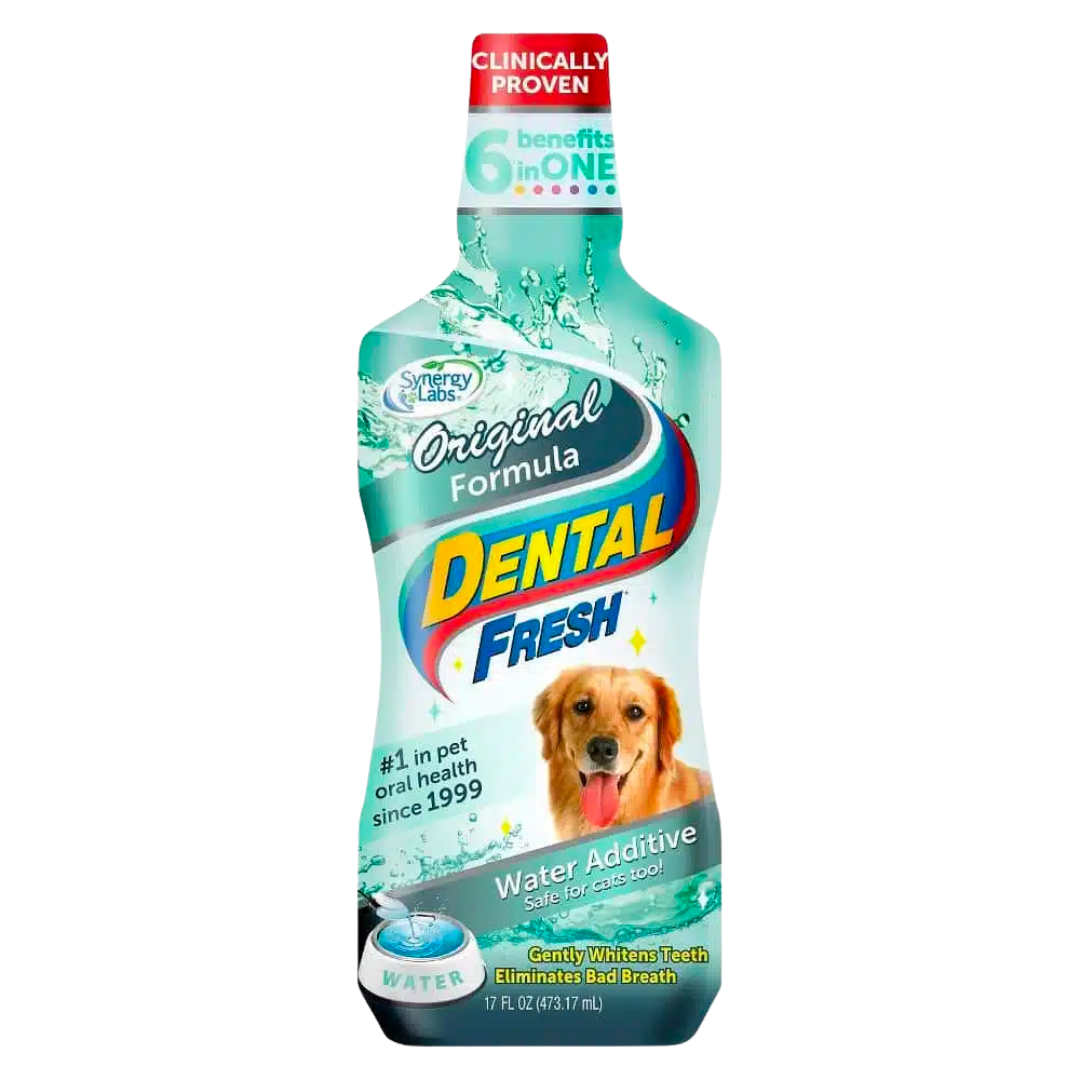Dental Fresh 17 Onz