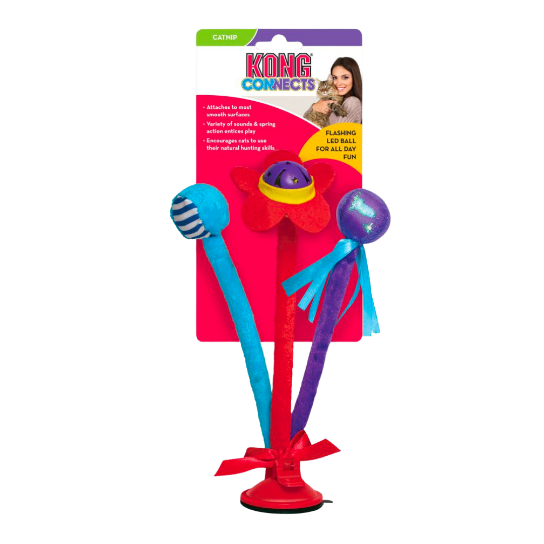 Kong Connects
