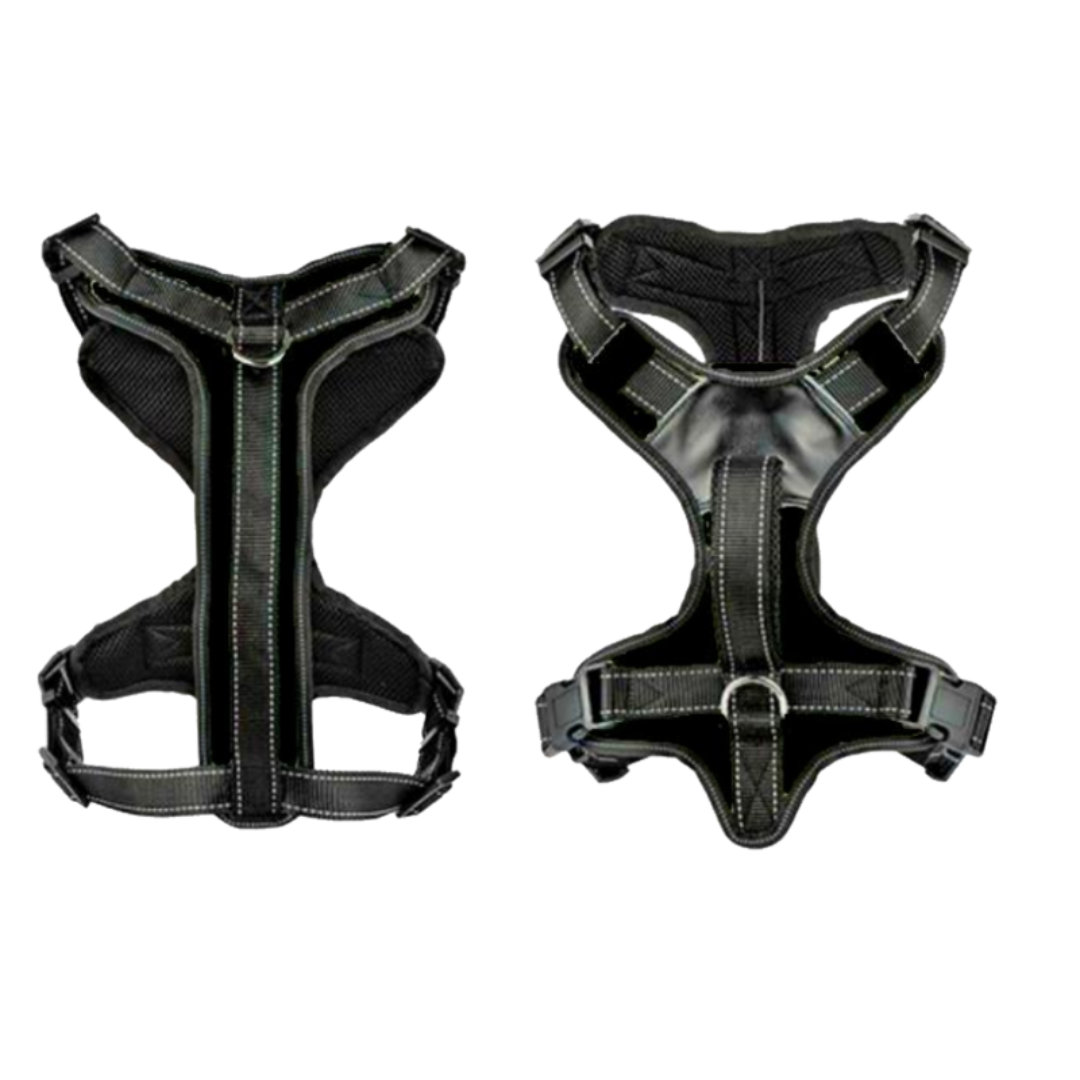 Pet Safety Arnes Negro Xs
