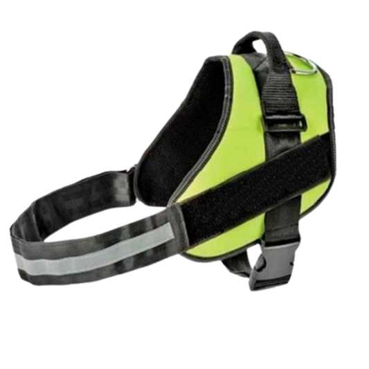 Pet Safety Arnes Verde Xl