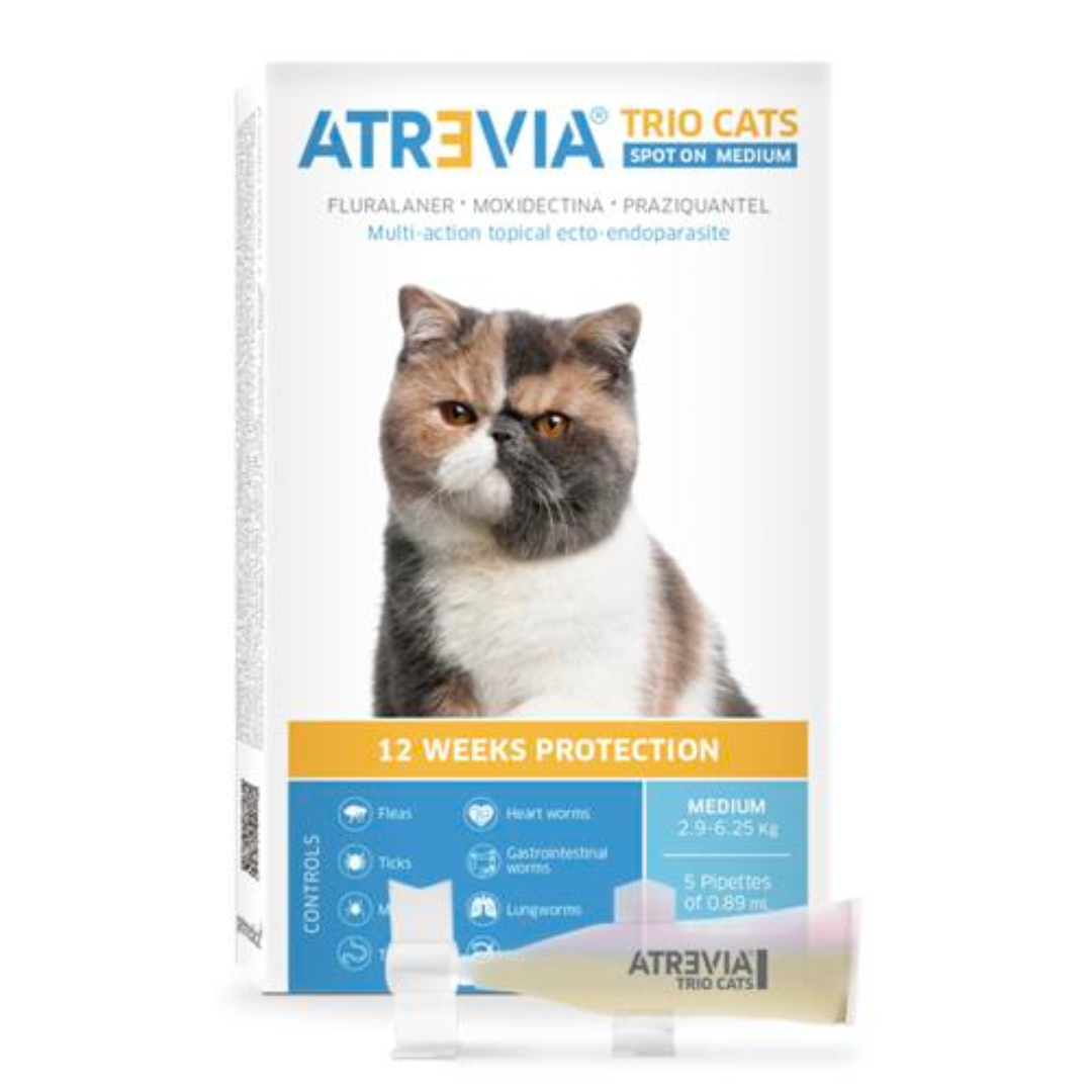 Atrevia Trio Cats Large