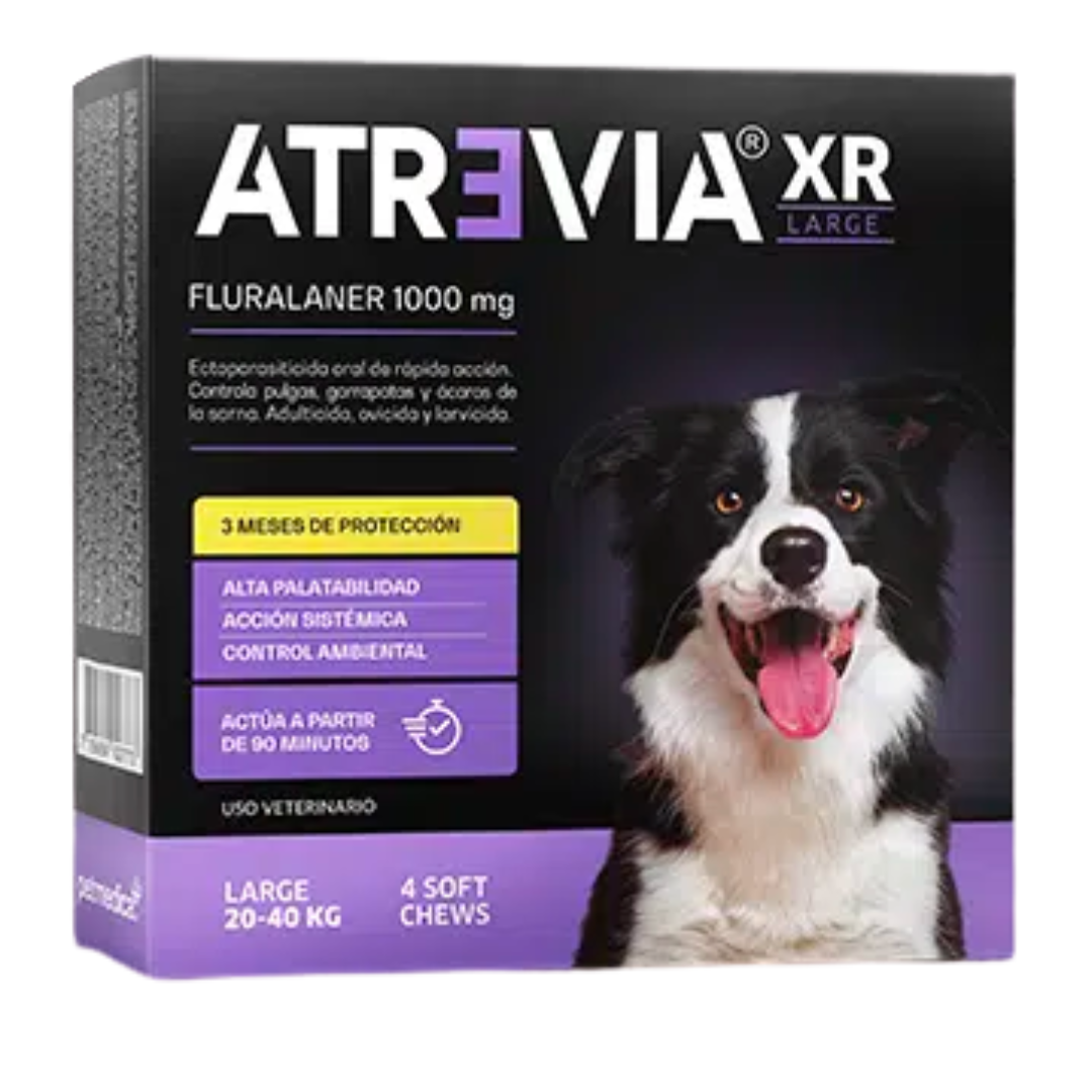 Atrevia Xr Large