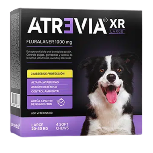 Atrevia Xr Large