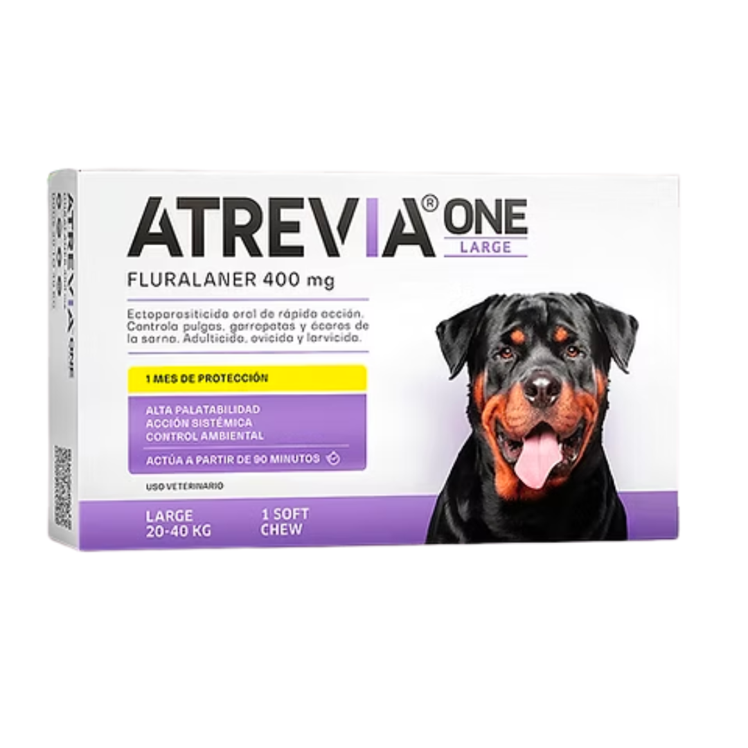Atrevia One Large