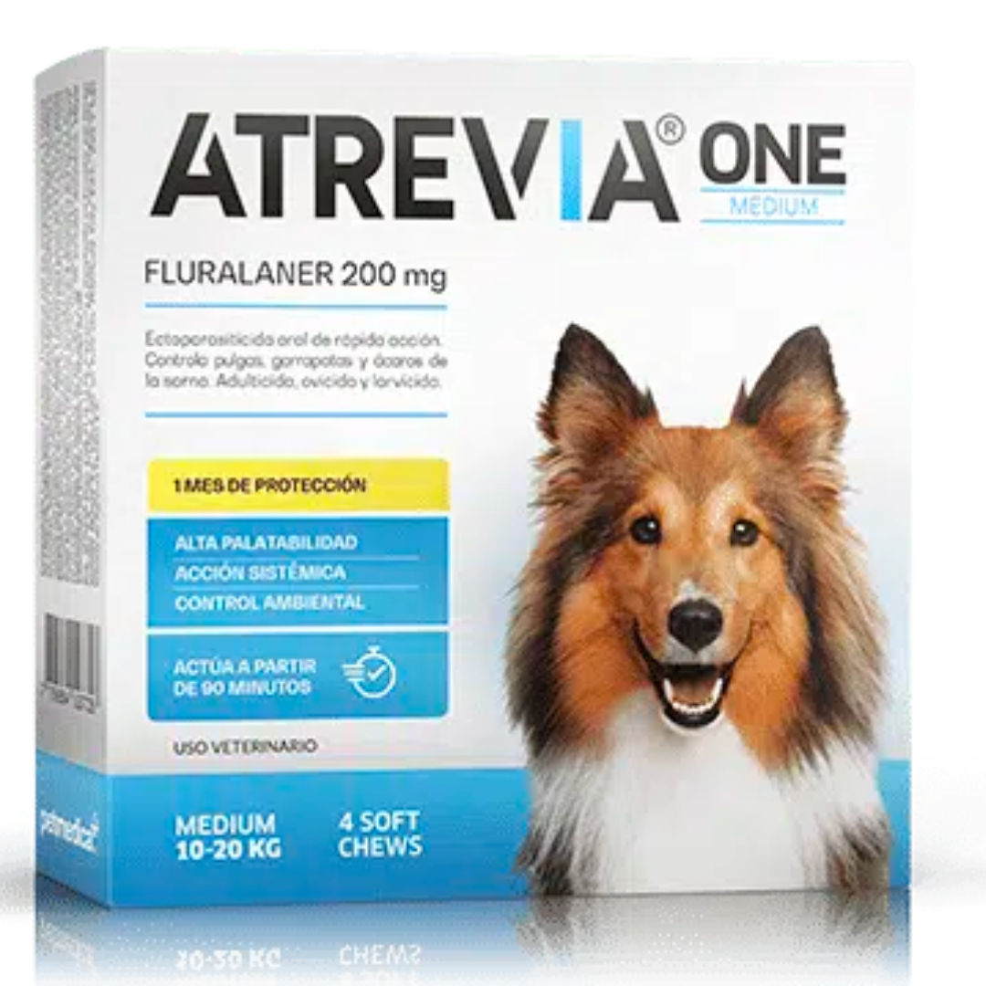 Atrevia One Medium